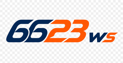 6623 WS Logo